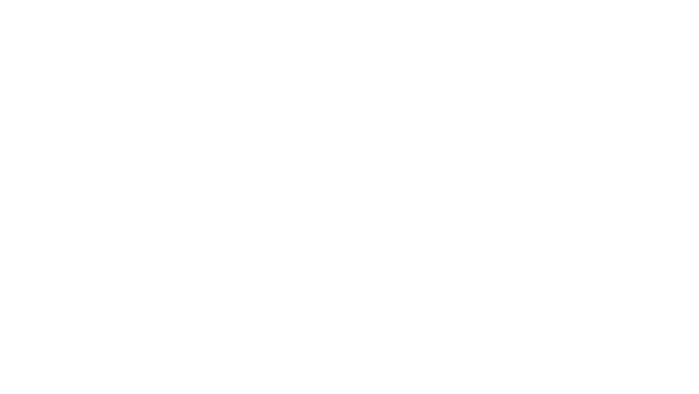 BAARETZ | Logo definitivo copia